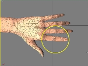 クールガール用手の指のデータ