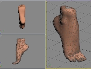 クールガール用足のモデルデータ